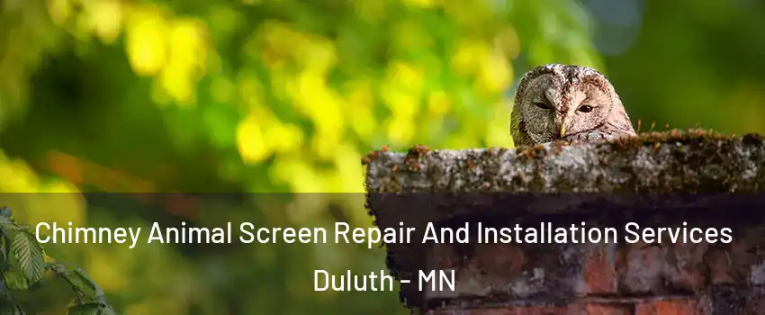 Chimney Animal Screen Repair And Installation Services Duluth - MN
