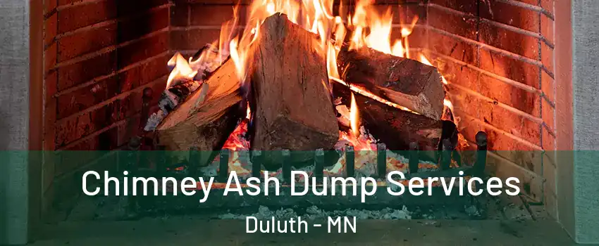 Chimney Ash Dump Services Duluth - MN