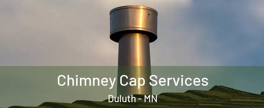 Chimney Cap Services Duluth - MN