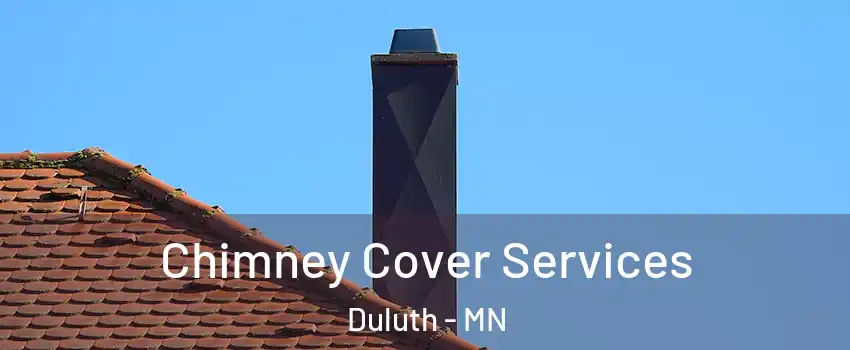 Chimney Cover Services Duluth - MN