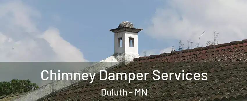 Chimney Damper Services Duluth - MN