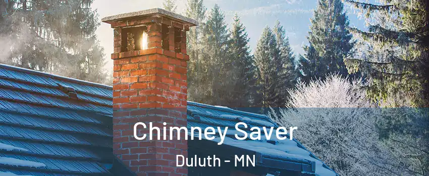 Chimney Saver Duluth - MN