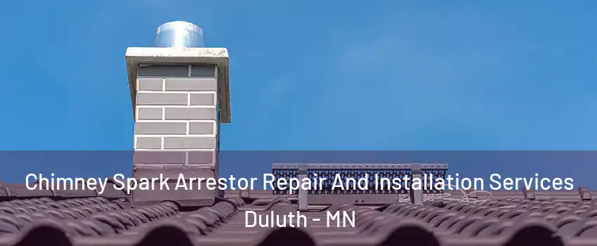  Chimney Spark Arrestor Repair And Installation Services Duluth - MN