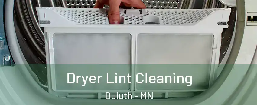 Dryer Lint Cleaning Duluth - MN