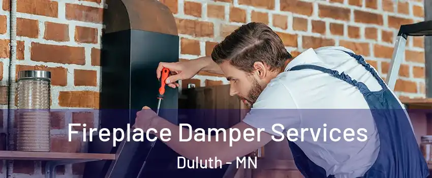  Fireplace Damper Services Duluth - MN
