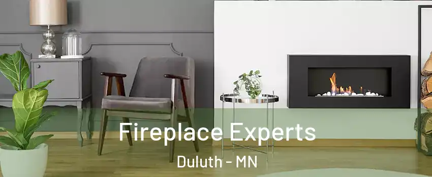 Fireplace Experts Duluth - MN