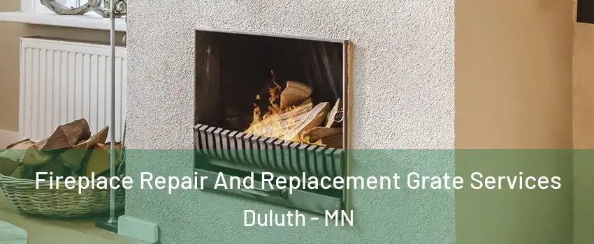 Fireplace Repair And Replacement Grate Services Duluth - MN