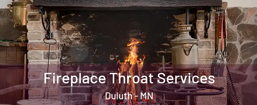 Fireplace Throat Services Duluth - MN