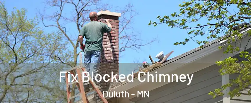 Fix Blocked Chimney Duluth - MN