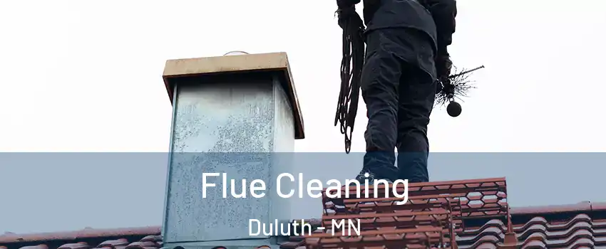 Flue Cleaning Duluth - MN
