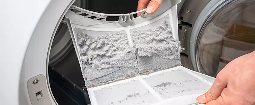 Best Dryer Lint Removal Company in Duluth, Minnesota