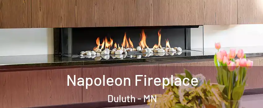  Napoleon Fireplace Duluth - MN