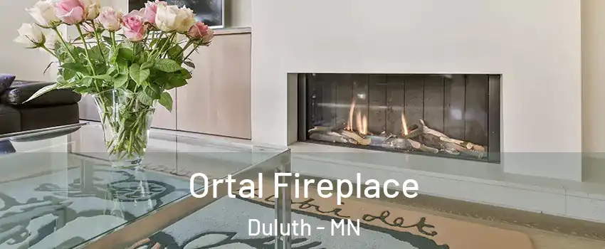Ortal Fireplace Duluth - MN